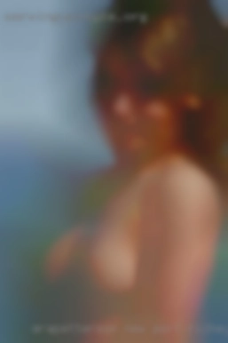 arapatterson New Port Richey FL