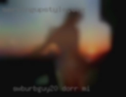swburbguy20 Dorr MI
